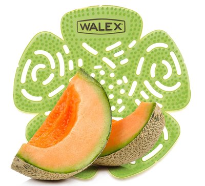 Urinoirrooster standaard Walex Meloen