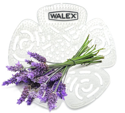 Walex Bravo Urinalsieb Lavender